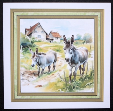Framed donkeys card front 9 by Marion Kimberley-Scott