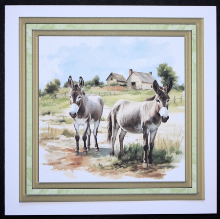 Framed donkeys card front 10 by Marion Kimberley-Scott