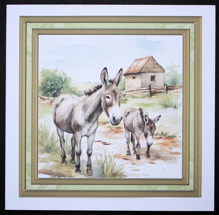 Framed donkeys card front 11 by Marion Kimberley-Scott