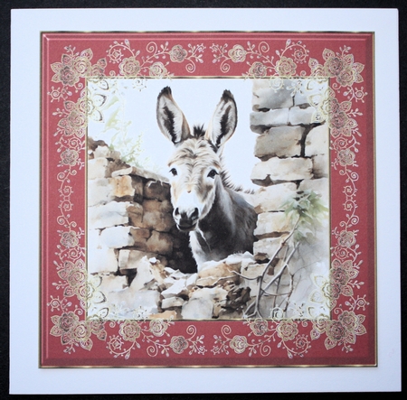Donkey looking over wall card front 4 by Marion Kimberley-Scott