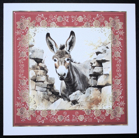 Donkey looking over wall card front 5 by Marion Kimberley-Scott