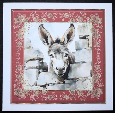 Donkey looking over wall card front 7 by Marion Kimberley-Scott
