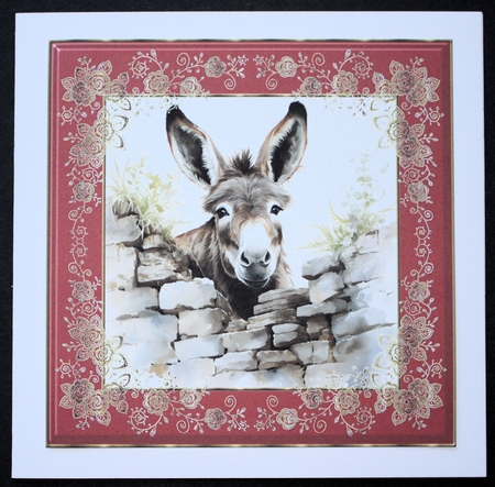Donkey looking over wall card front 9 by Marion Kimberley-Scott