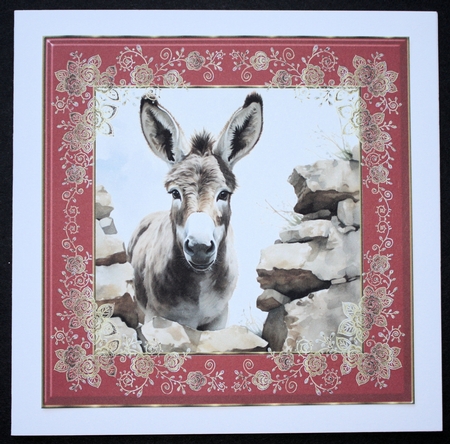 Donkey looking over wall card front 10 by Marion Kimberley-Scott