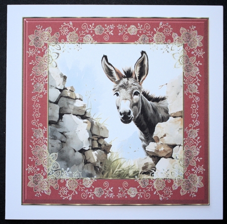 Donkey looking over wall card front 11 by Marion Kimberley-Scott