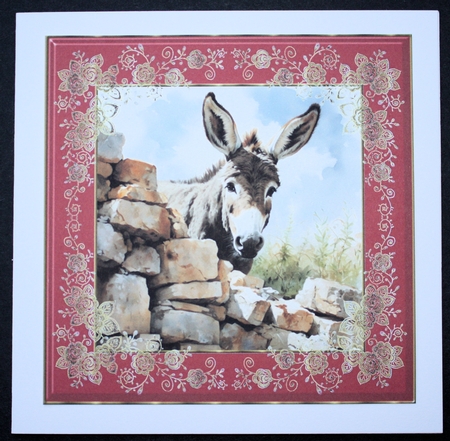 Donkey looking over wall card front 12 by Marion Kimberley-Scott