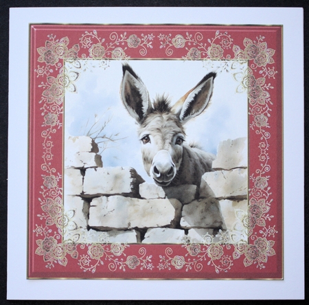 Donkey looking over wall card front 14 by Marion Kimberley-Scott