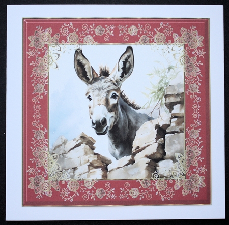 Donkey looking over wall card front 15 by Marion Kimberley-Scott