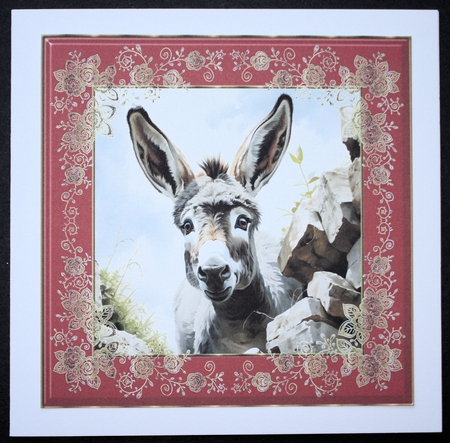 Donkey looking over wall card front 18 by Marion Kimberley-Scott