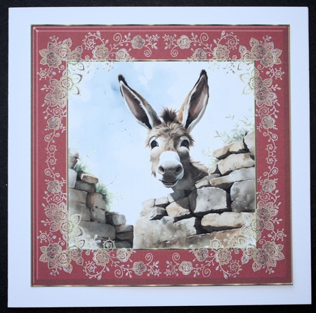 Donkey looking over wall card front 19 by Marion Kimberley-Scott