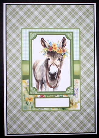 2 Floral donkey card fronts 1 by Marion Kimberley-Scott