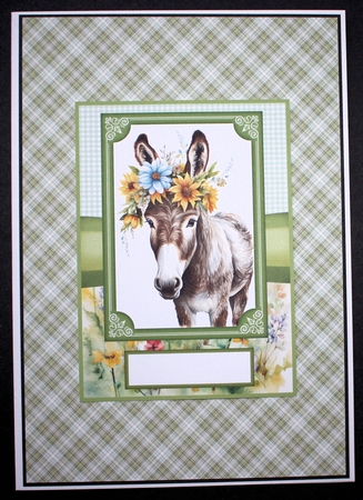 2 Floral donkey card fronts 1 by Marion Kimberley-Scott