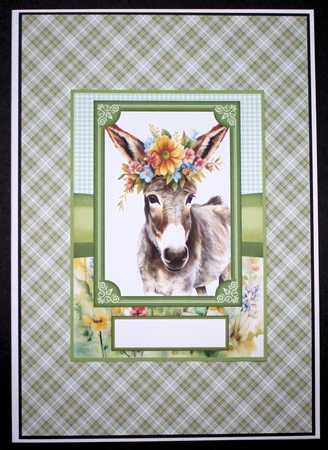 2 Floral donkey card fronts 2 by Marion Kimberley-Scott