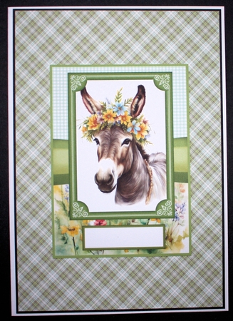 2 Floral donkey card fronts 2 by Marion Kimberley-Scott