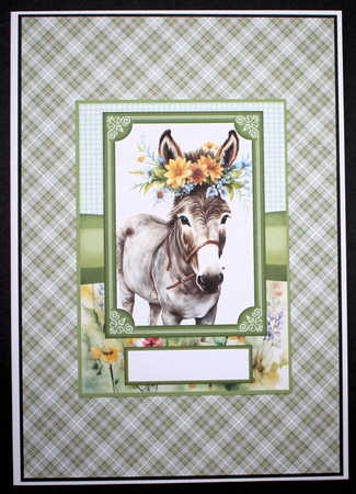 2 Floral donkey card fronts 3 by Marion Kimberley-Scott