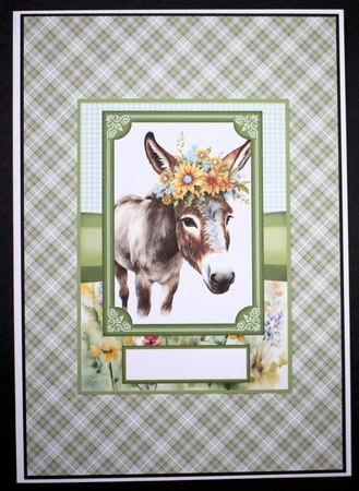 2 Floral donkey card fronts 3 by Marion Kimberley-Scott