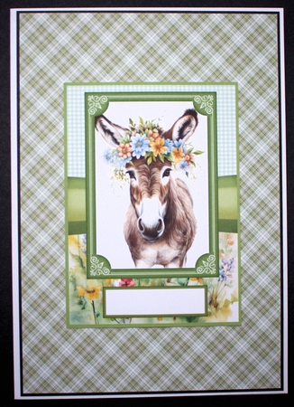 2 Floral donkey card fronts 4 by Marion Kimberley-Scott