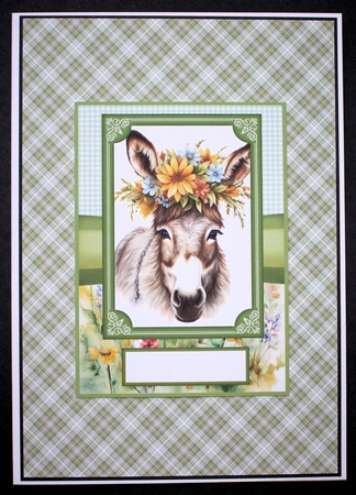 2 Floral donkey card fronts 4 by Marion Kimberley-Scott