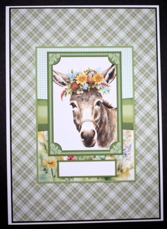 2 Floral donkey card fronts 5 by Marion Kimberley-Scott