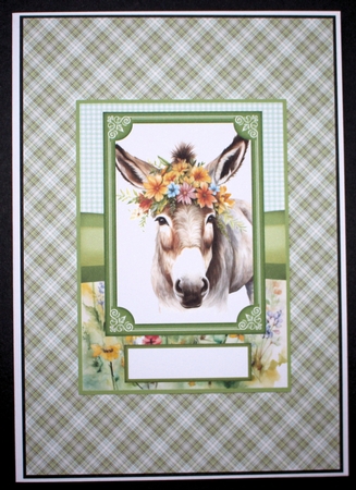 2 Floral donkey card fronts 5 by Marion Kimberley-Scott