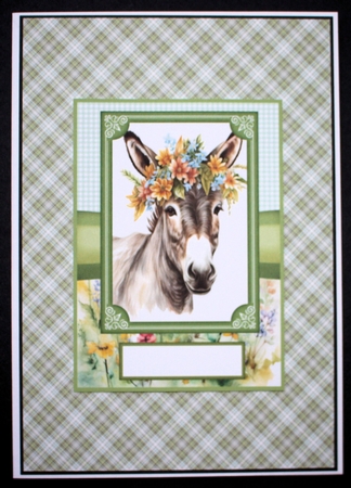 2 Floral donkey card fronts 6 by Marion Kimberley-Scott