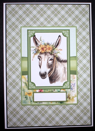 2 Floral donkey card fronts 6 by Marion Kimberley-Scott