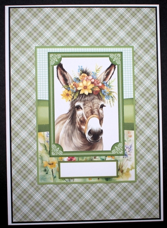 2 Floral donkey card fronts 7 by Marion Kimberley-Scott