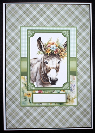 2 Floral donkey card fronts 7 by Marion Kimberley-Scott