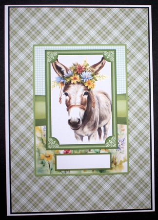 2 Floral donkey card fronts 8 by Marion Kimberley-Scott