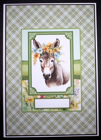 2 Floral donkey card fronts 8 by Marion Kimberley-Scott