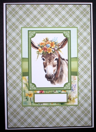 2 Floral donkey card fronts 9 by Marion Kimberley-Scott