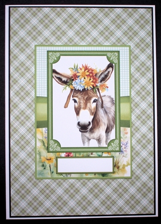 2 Floral donkey card fronts 9 by Marion Kimberley-Scott