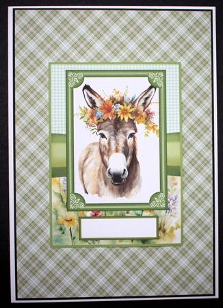 2 Floral donkey card fronts 10 by Marion Kimberley-Scott
