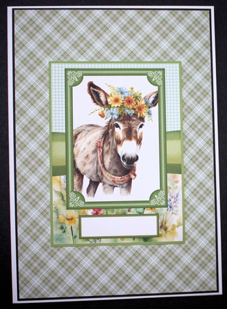 2 Floral donkey card fronts 10 by Marion Kimberley-Scott