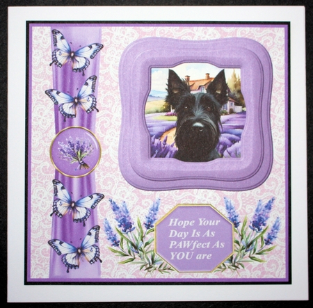 Framed lavender Scottish terrier card front 2 by Marion Kimberley-Scott