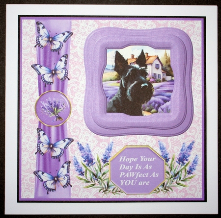 Framed lavender Scottish terrier card front 3 by Marion Kimberley-Scott