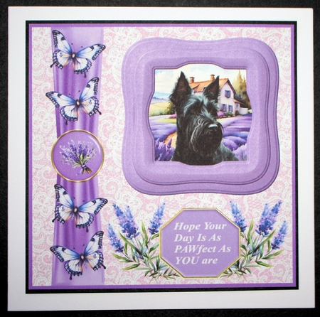 Framed lavender Scottish terrier card front 5 by Marion Kimberley-Scott