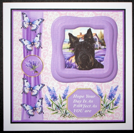 Framed lavender Scottish terrier card front 6 by Marion Kimberley-Scott