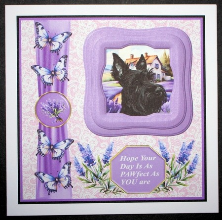 Framed lavender Scottish terrier card front 7 by Marion Kimberley-Scott