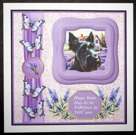 Framed lavender Scottish terrier card front 8 by Marion Kimberley-Scott