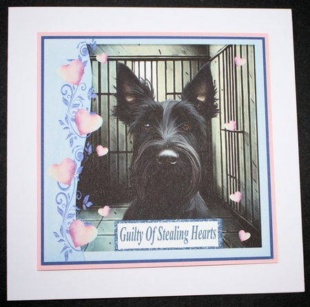 Scottish terrier guilty of stealing hearts card front by Marion Kimberley-Scott