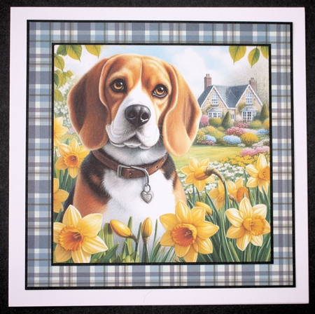 Daffodil Garden Beagle  by Marion Kimberley-Scott