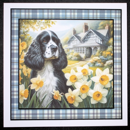 Daffodil Garden Cocker Spaniel by Marion Kimberley-Scott