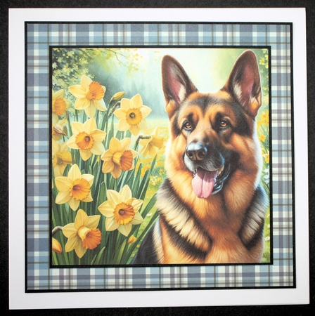Daffodil Garden German Shepherd by Marion Kimberley-Scott