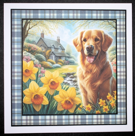 Daffodil Garden Golden Retriever by Marion Kimberley-Scott