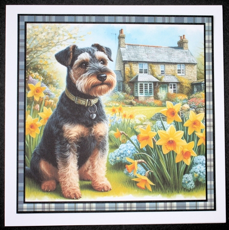 Daffodil Garden Patterdale by Marion Kimberley-Scott