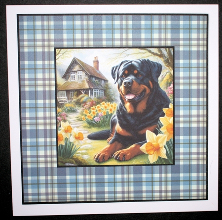 Daffodil Garden Rottweiler by Marion Kimberley-Scott