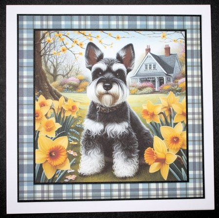 Daffodil Garden Schnauzer by Marion Kimberley-Scott