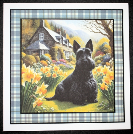 Daffodil Garden Scottie  by Marion Kimberley-Scott