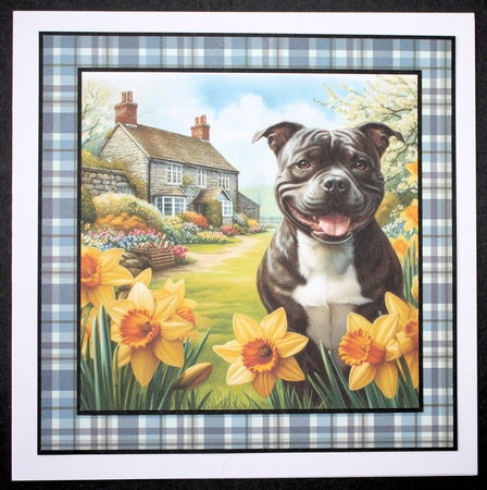 Daffodil Garden Staffie by Marion Kimberley-Scott